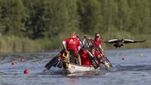Deutsche Meisterschaft Drachenboot